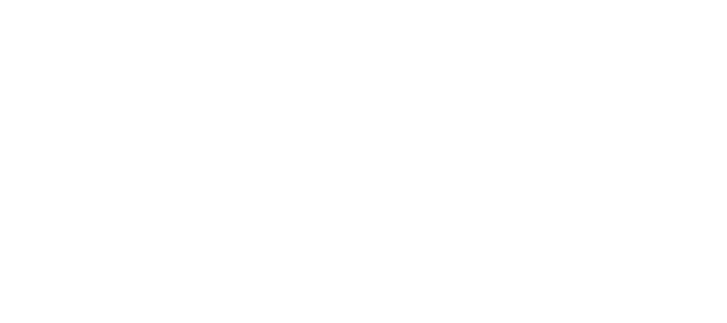stand and deliver logo